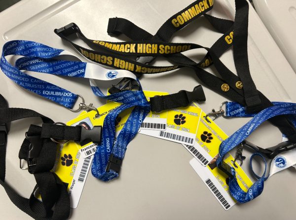 Badges and ID cards and lanyards - Oh my!
