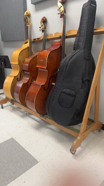 The orchestras newest addition