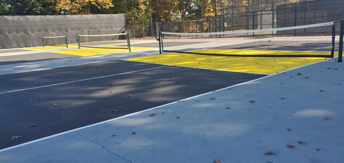 The new curiosity: Pickleball