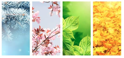 Students' music taste flows with the seasons